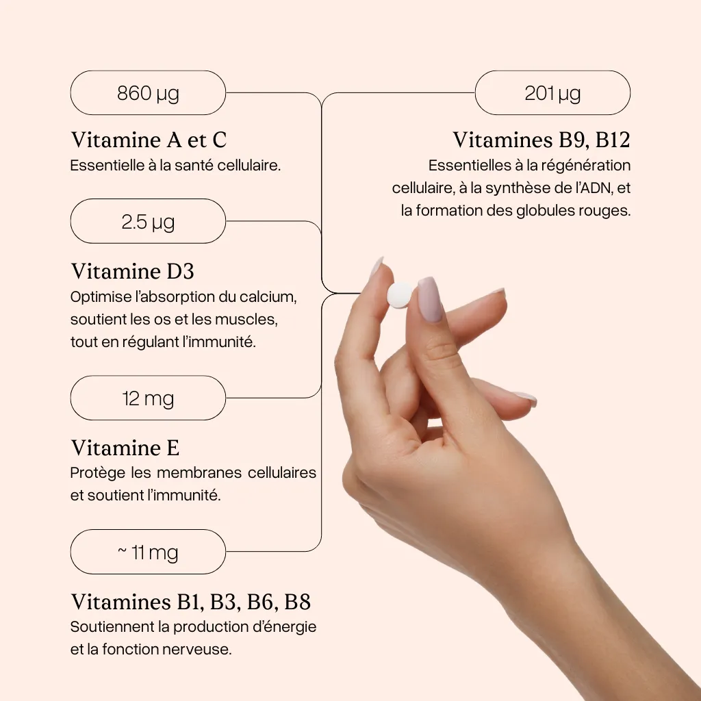 The Elev8 Trilogy : Magnésium + Mélatonine + Multivitamines – Image 16