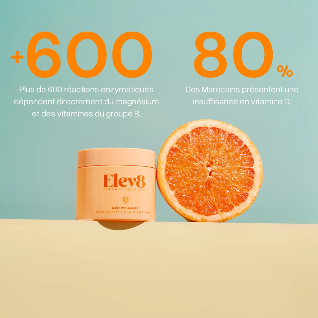 The Elev8 Trilogy : Magnésium + Mélatonine + Multivitamines – Image 17